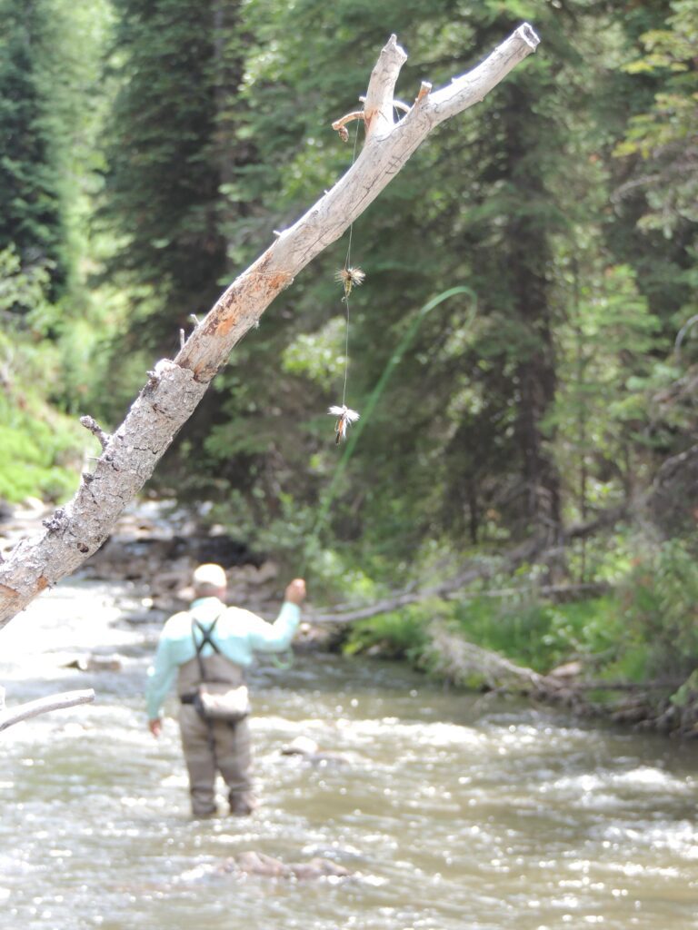 Lost and found fly on a mountain stream. Photo by Gary Lewis