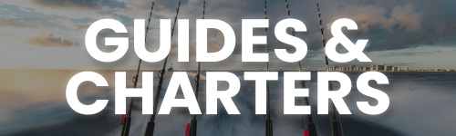 Guides and Charters