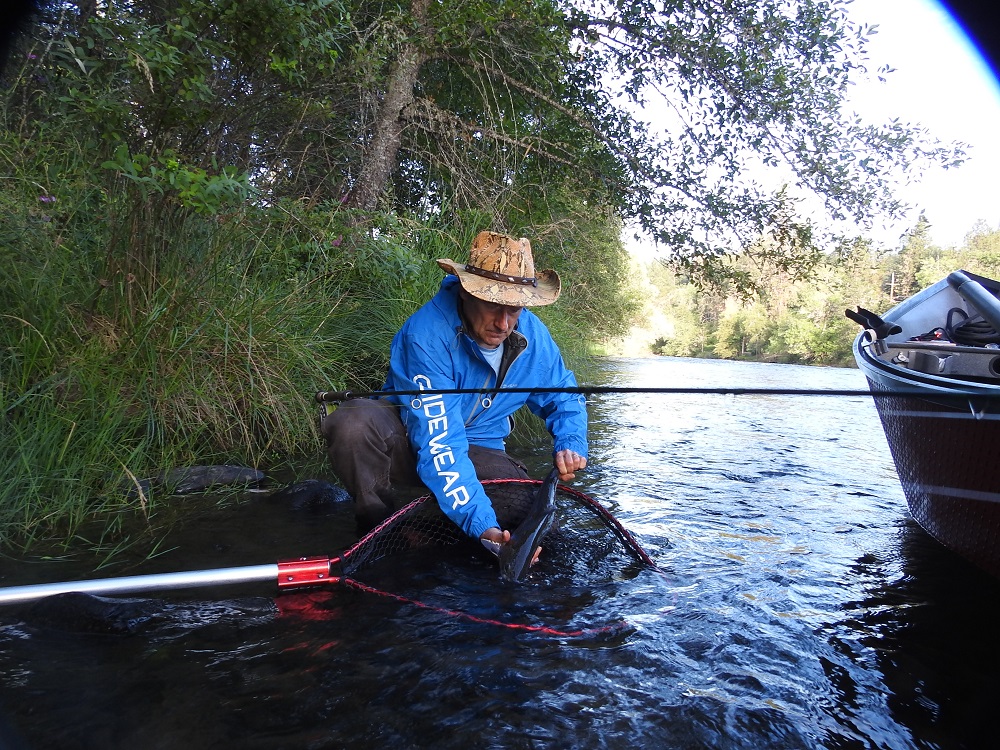 Steelhead Fishing