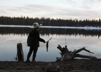 Road trip options for ice-out trout By Gary Lewis