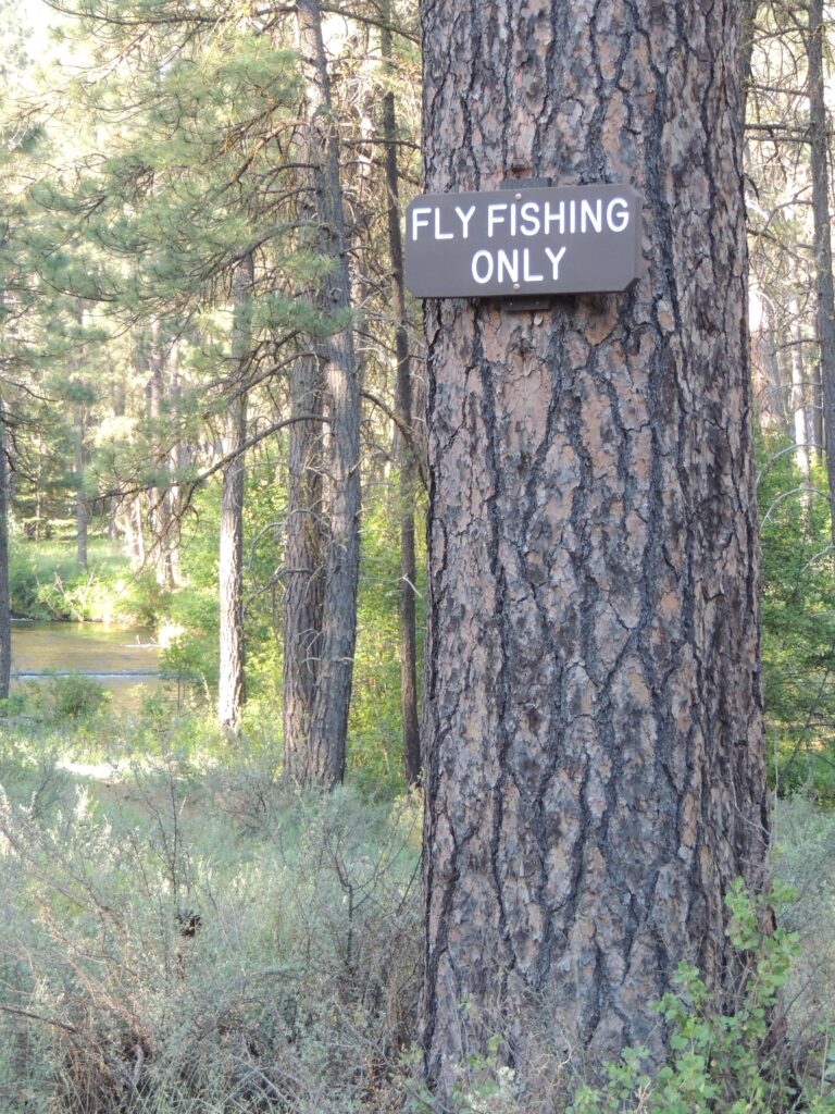 Fly Fishing Only on the Metolius. Photo by Gary Lewis