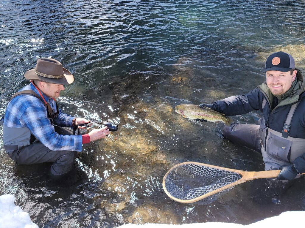 Catching a big fish with a fishing pole. Trout. Fishing. Steelhead rainbow  trout. Catches a fish. Brown trout being caught in fishing net. Stock Photo