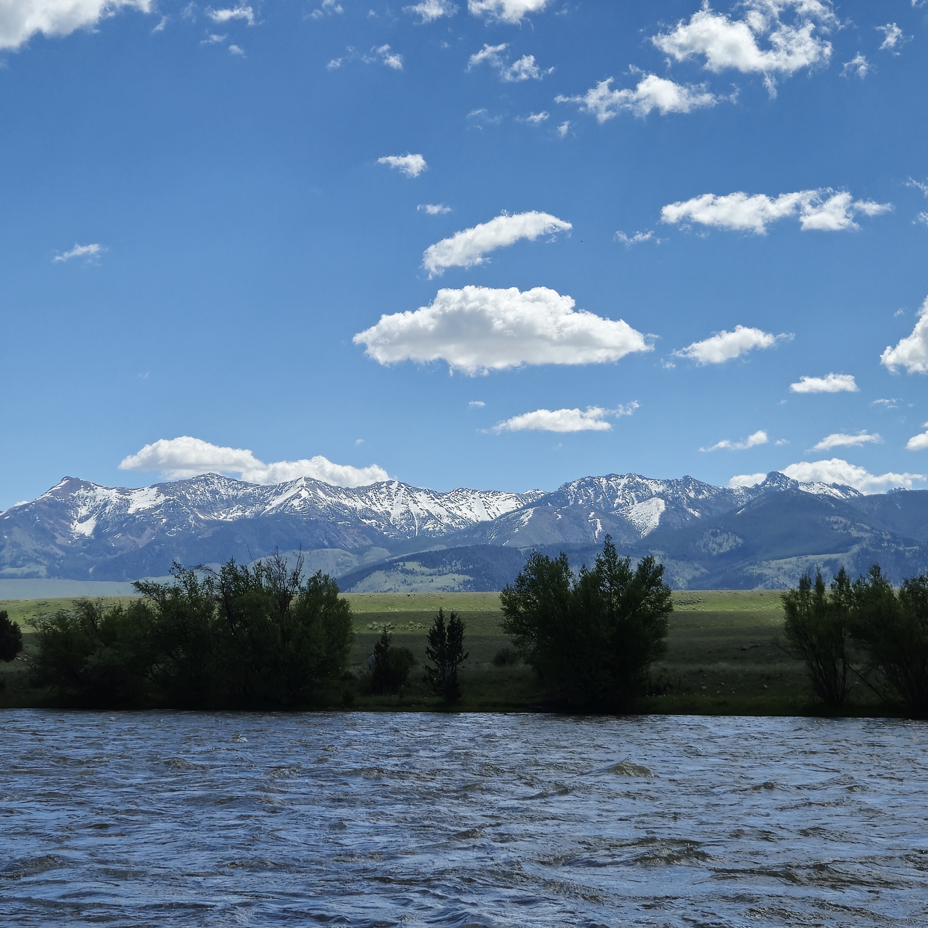 MikeCarey_Trout_Montana_Madison_River