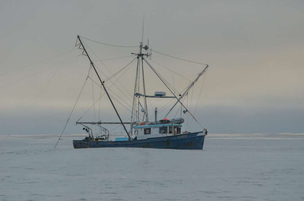 Ocean Salmon Update Jason Brooks