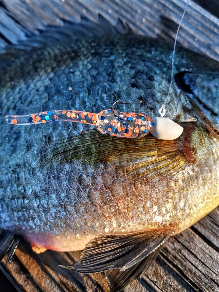 Pan Fishing By Eric Magnuson Crappie BlueGill