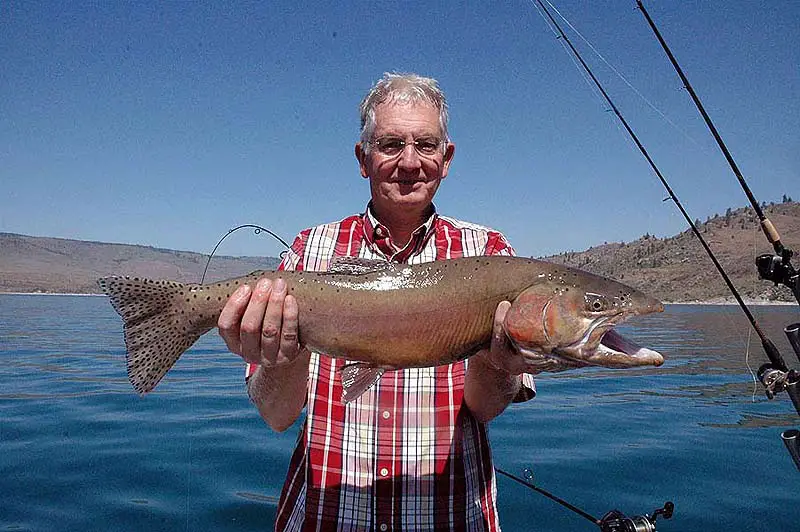 Omak_CutthroatTrout