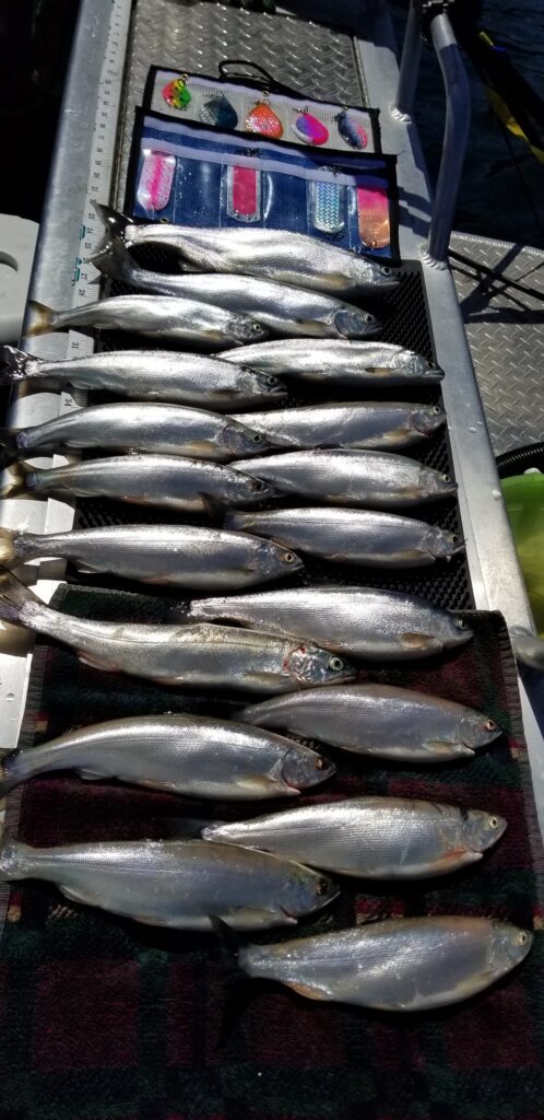 kokanee-gary-gordon